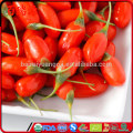 Wo finde ich Goji Beeren Goji Bohnen Chinese Wolfberry